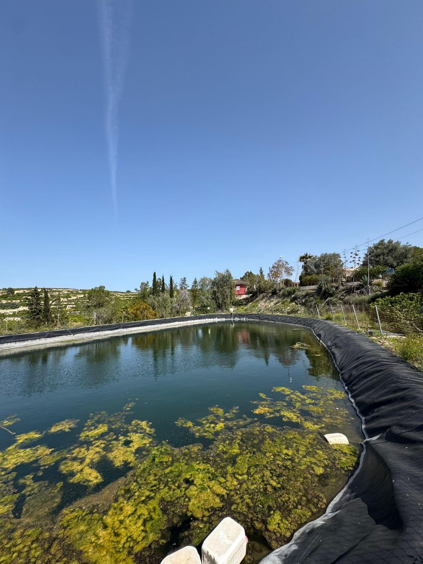 Finca en venta en Orihuela