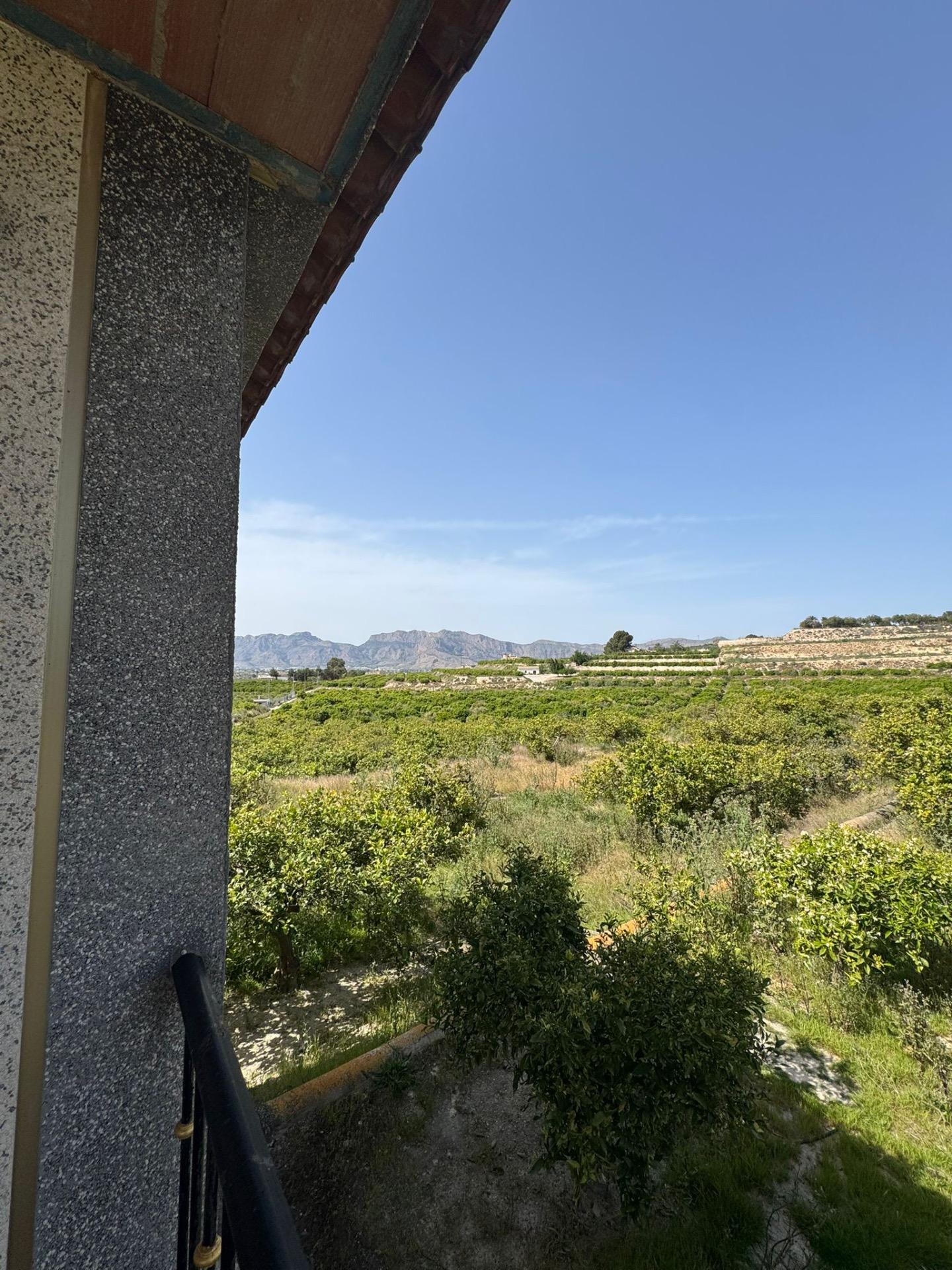 Finca en venta en Orihuela