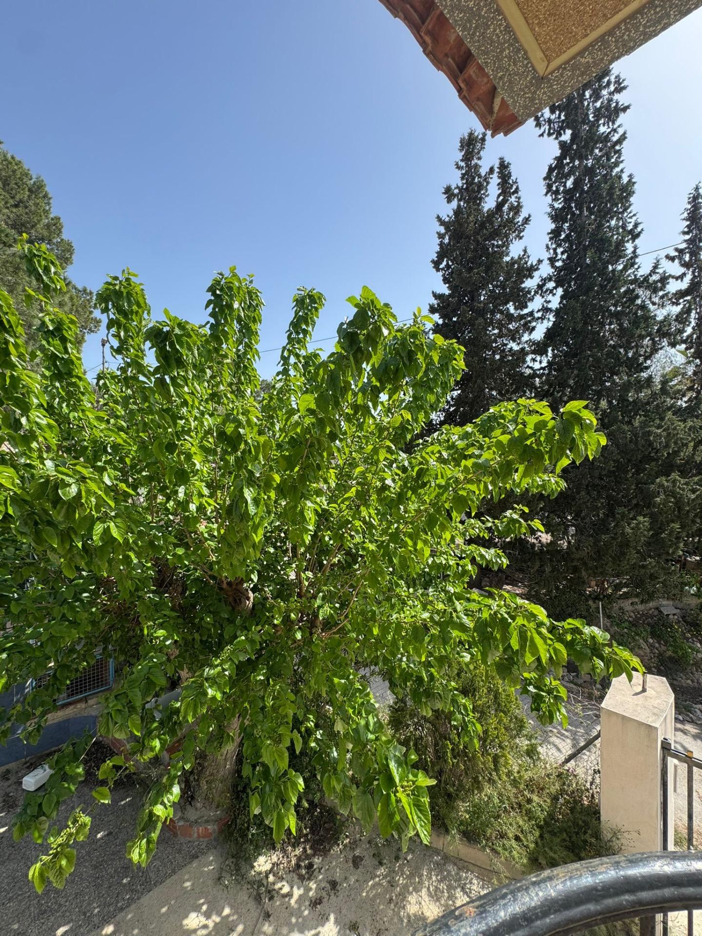 Finca en venta en Orihuela