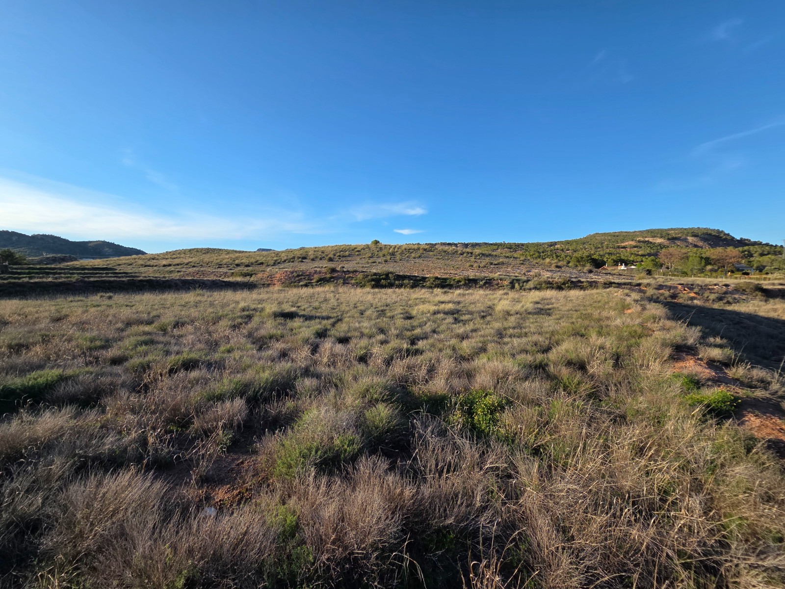 Finca en venta en Yecla