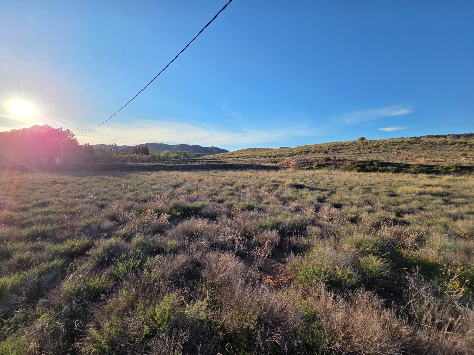 Finca en venta en Yecla
