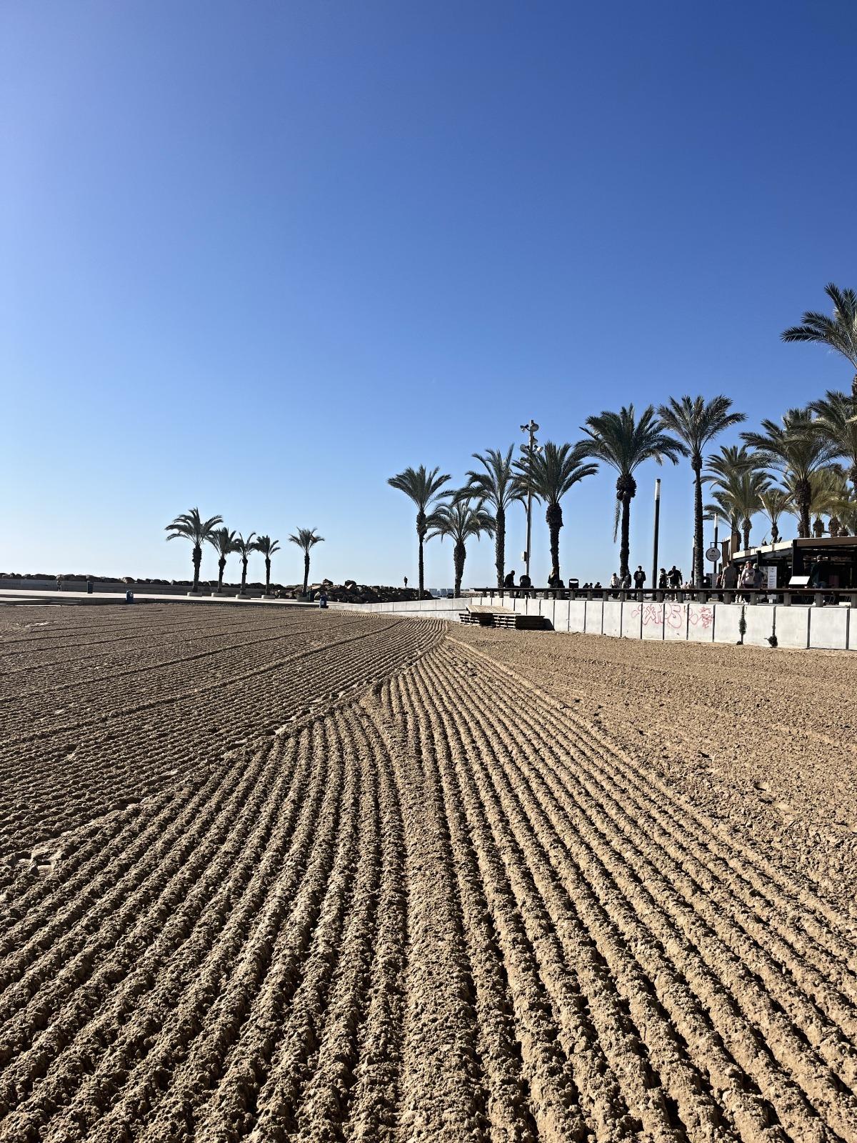 Piso en venta en Torrevieja