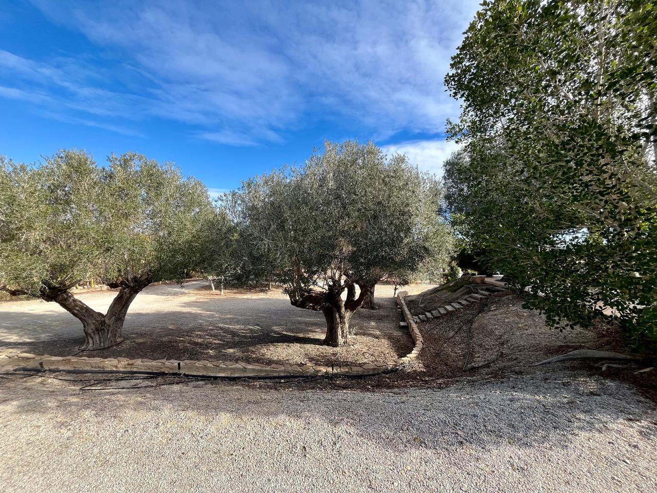 Casa de Campo en venta en El Esparragal
