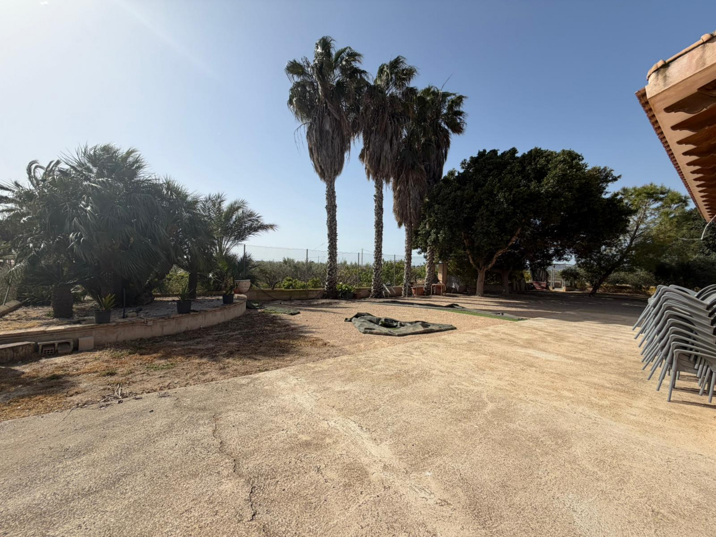 Commercial Property en venta en Torre Pacheco