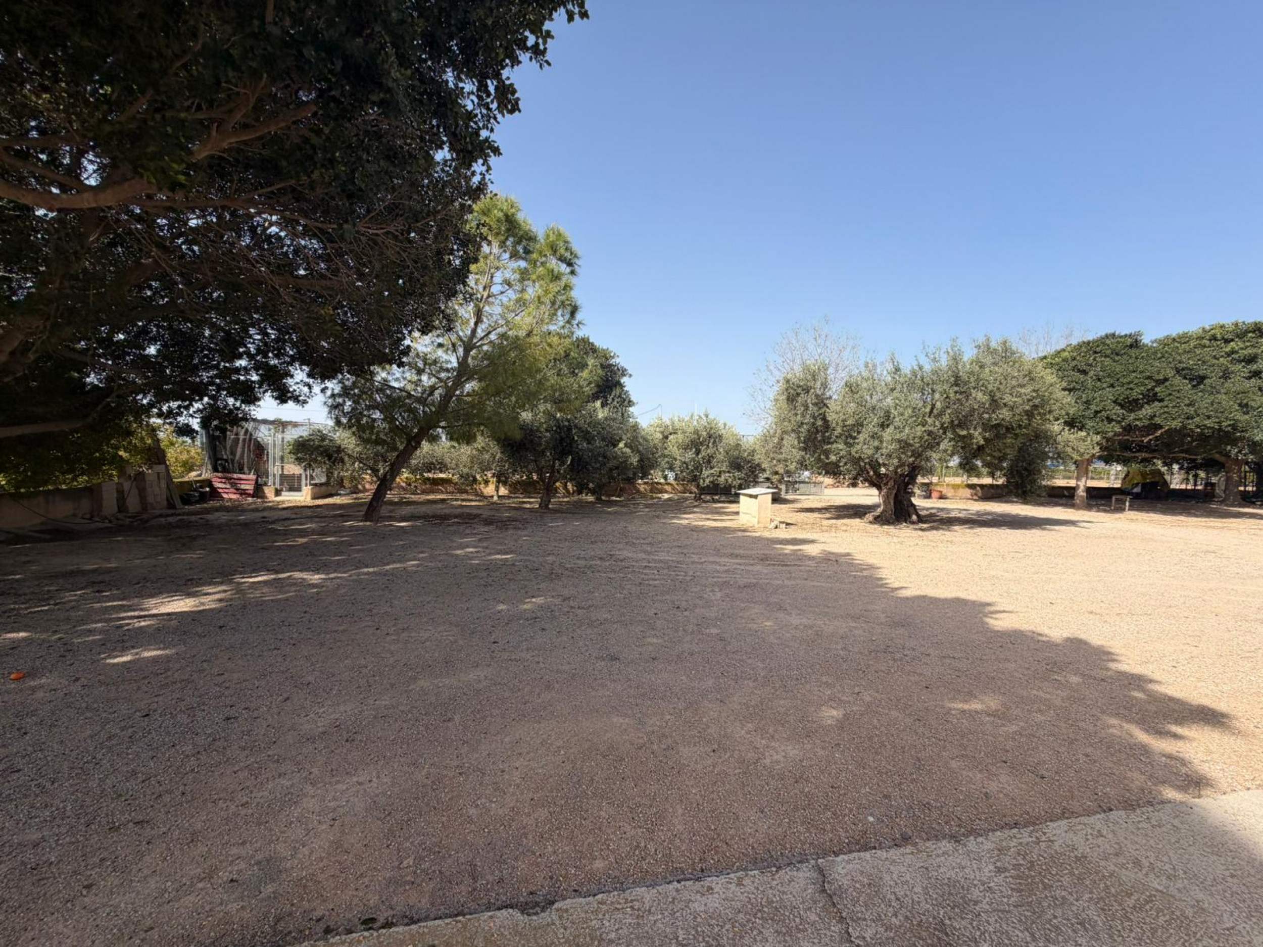 Commercial Property en venta en Torre Pacheco