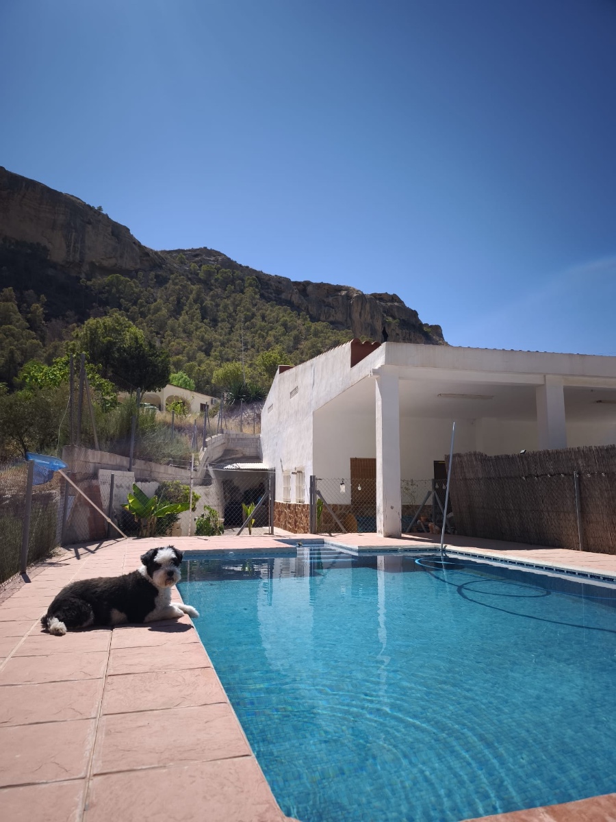 Country House for sale in Crevillent, Alicante, Spain