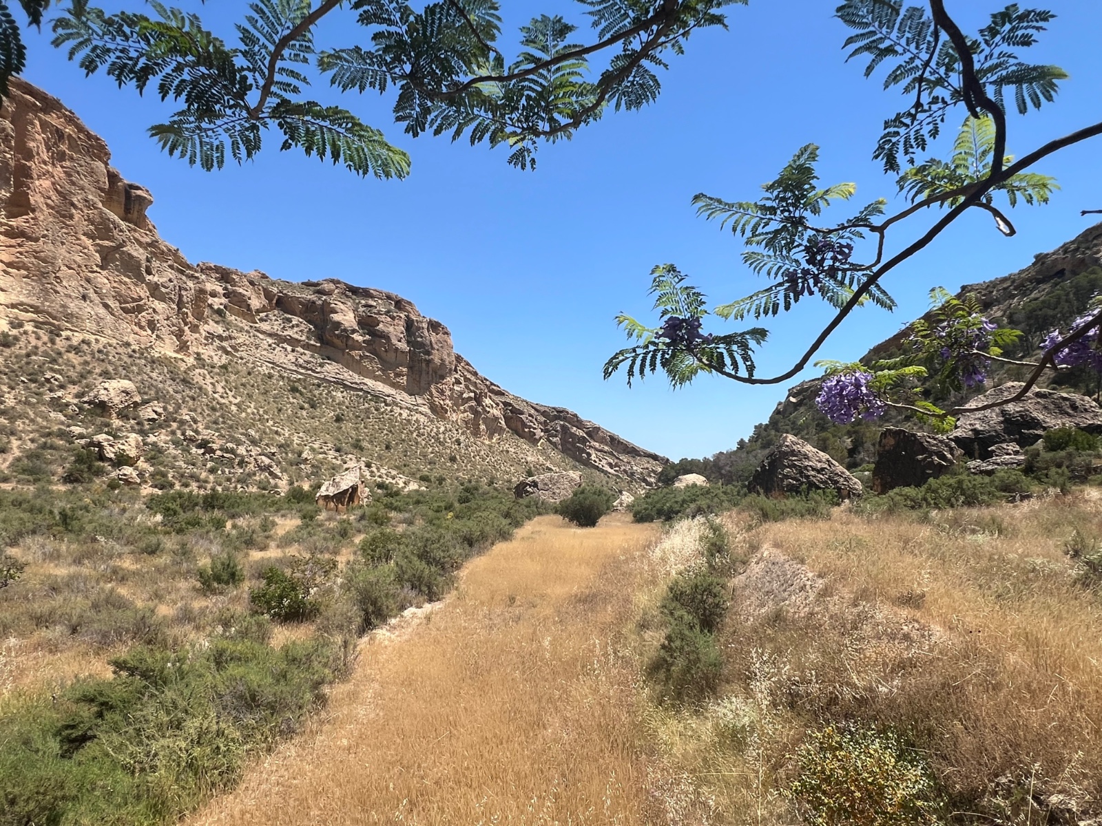Country House for sale in Crevillent, Alicante, Spain