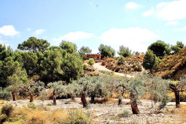 Villa en venta en Murcia
