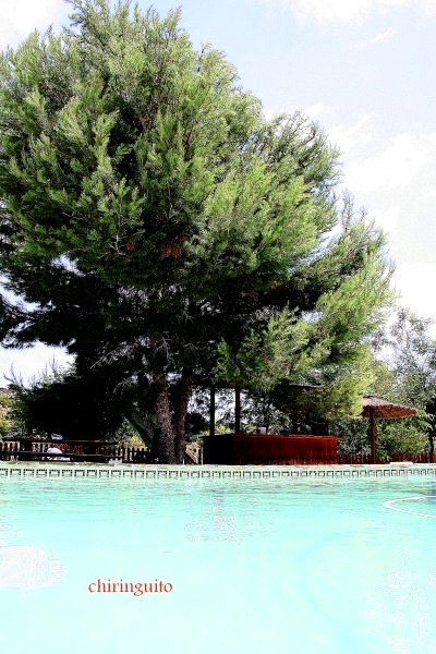 Villa en venta en Murcia