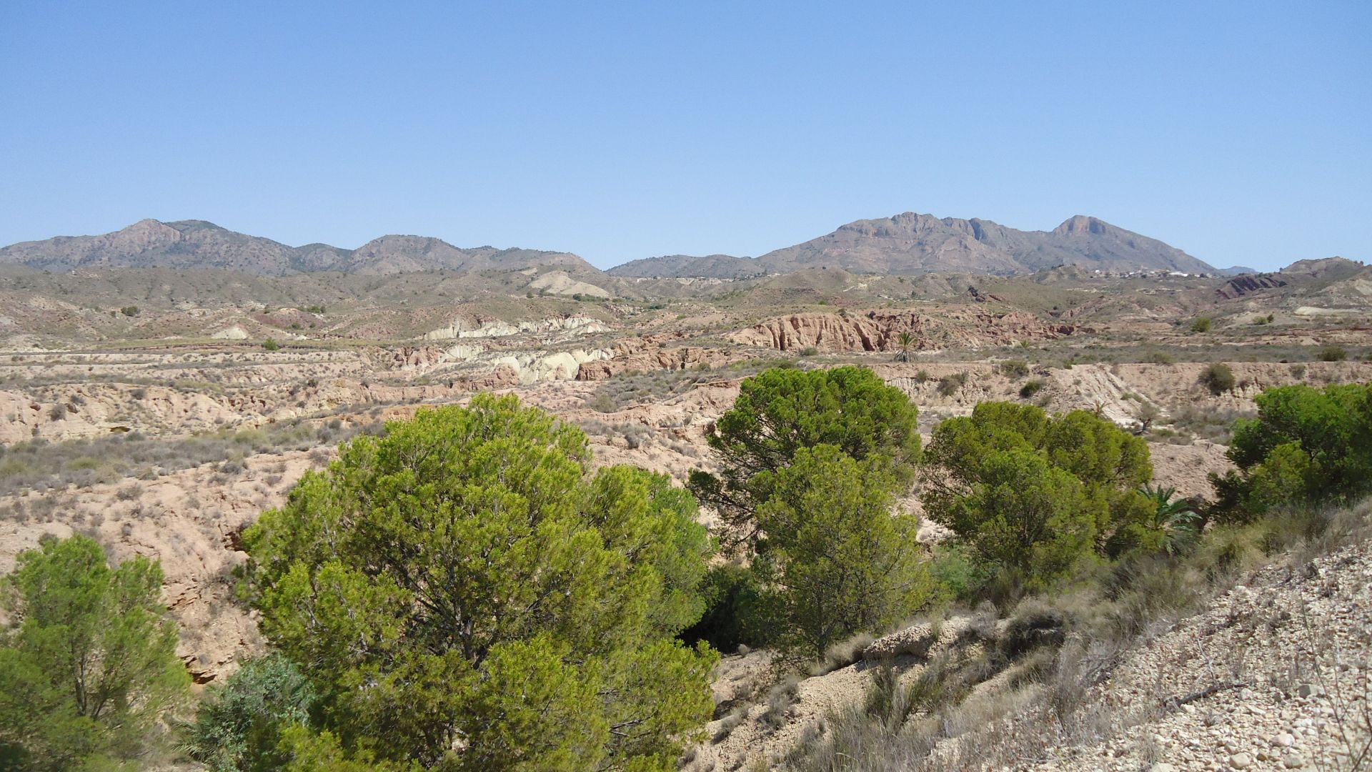 Finca en venta en Abanilla