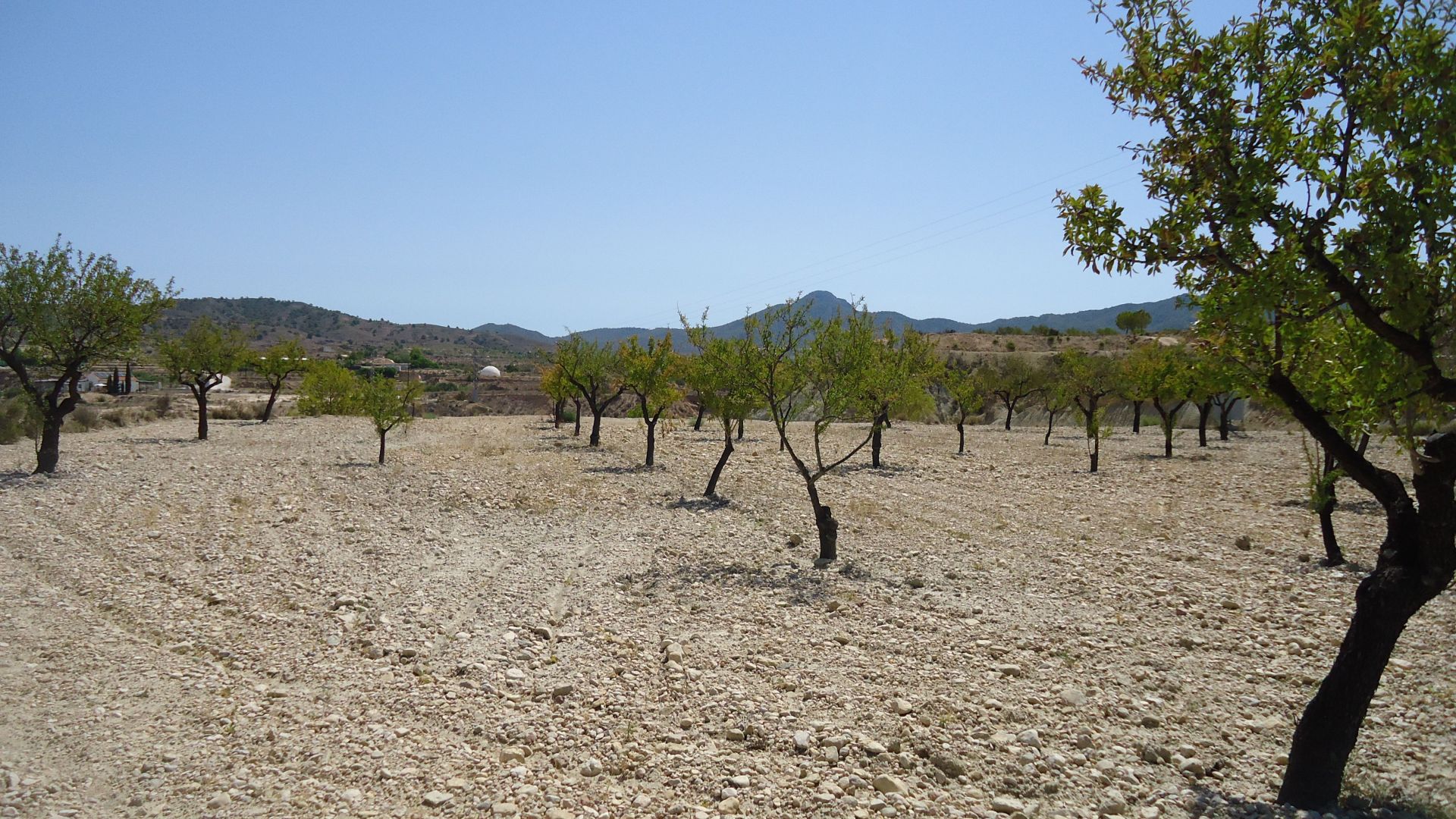 Finca en venta en Abanilla