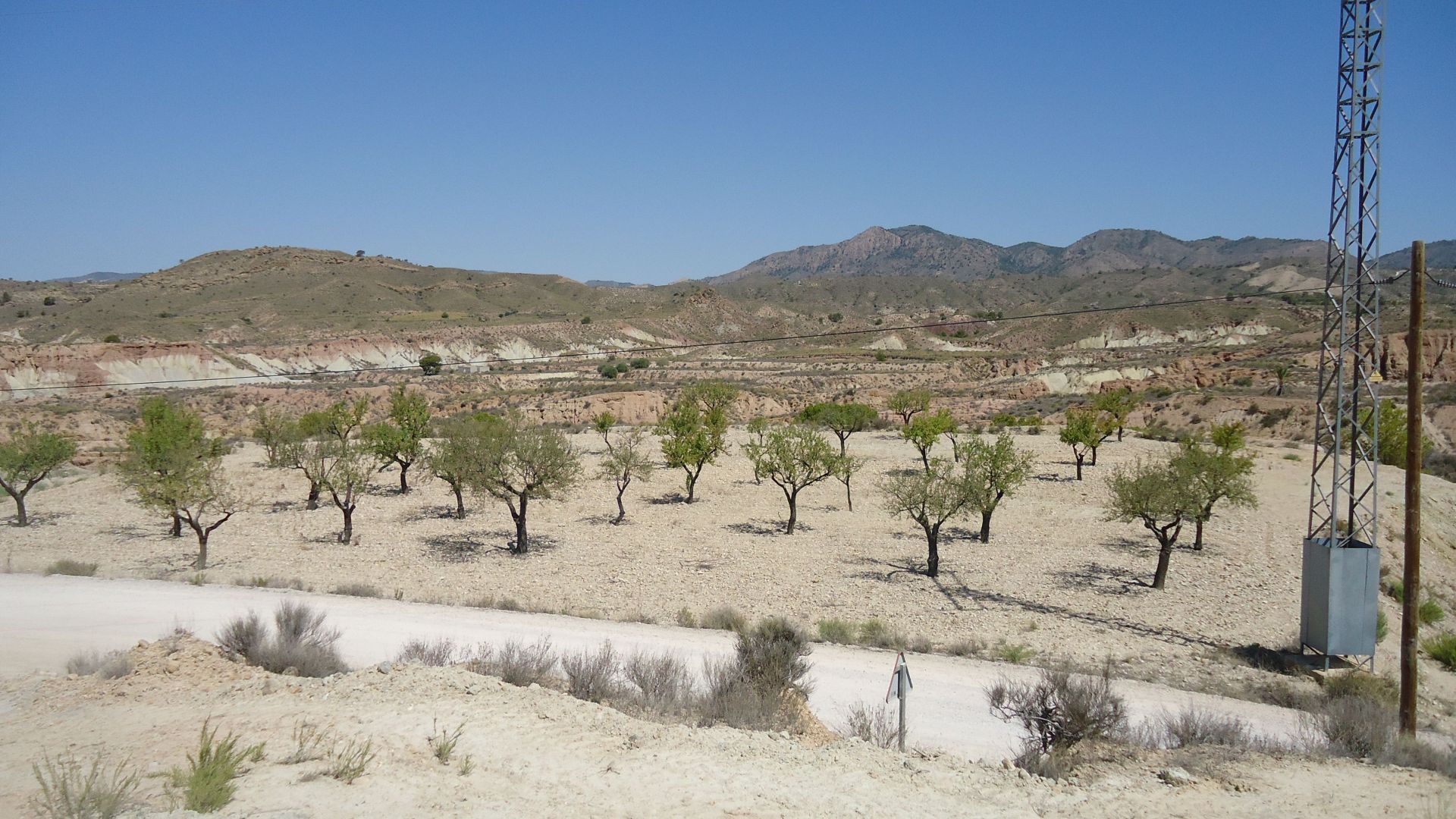 Finca en venta en Abanilla