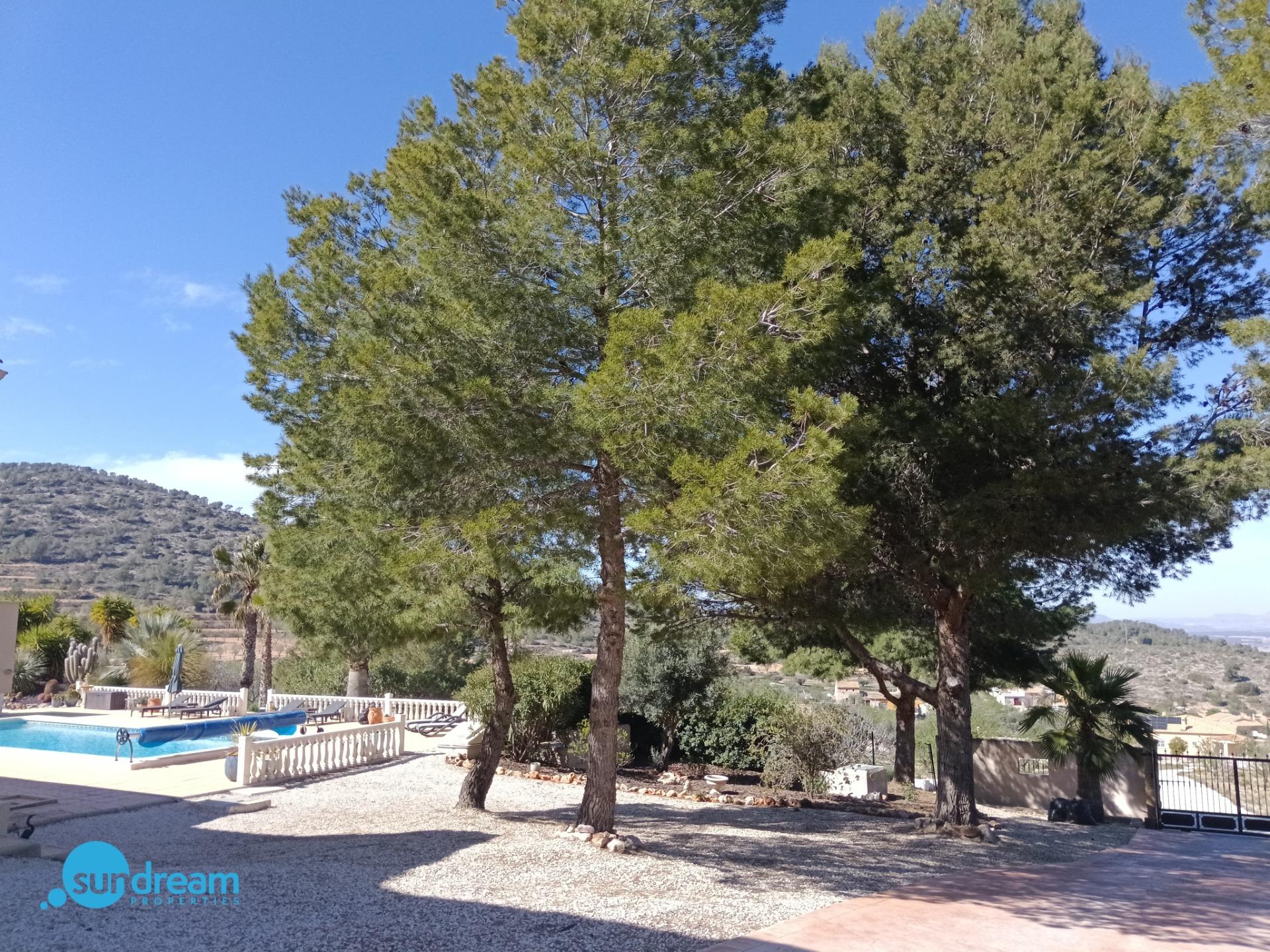 Villa en venta en Abanilla