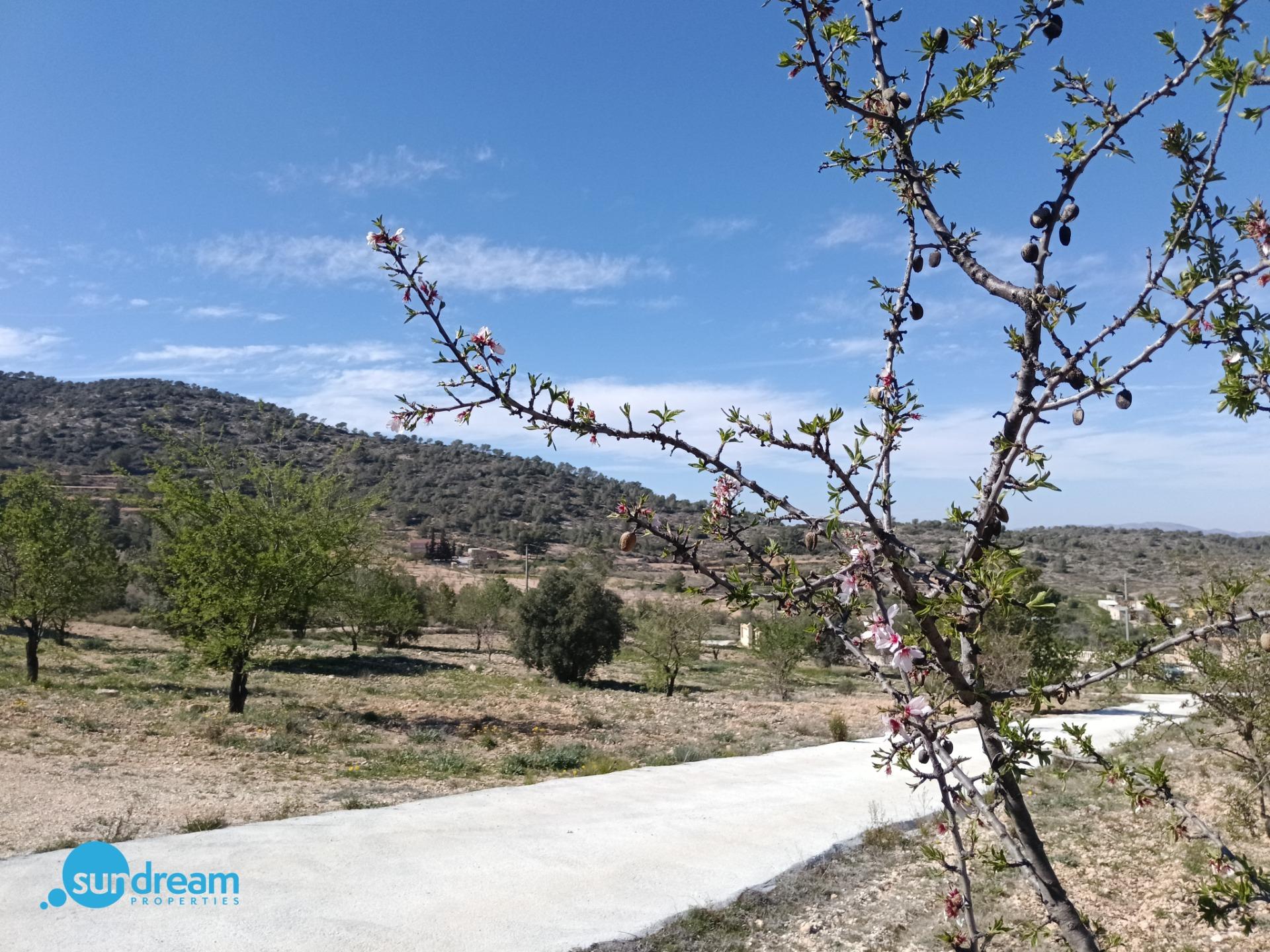 Villa en venta en Abanilla