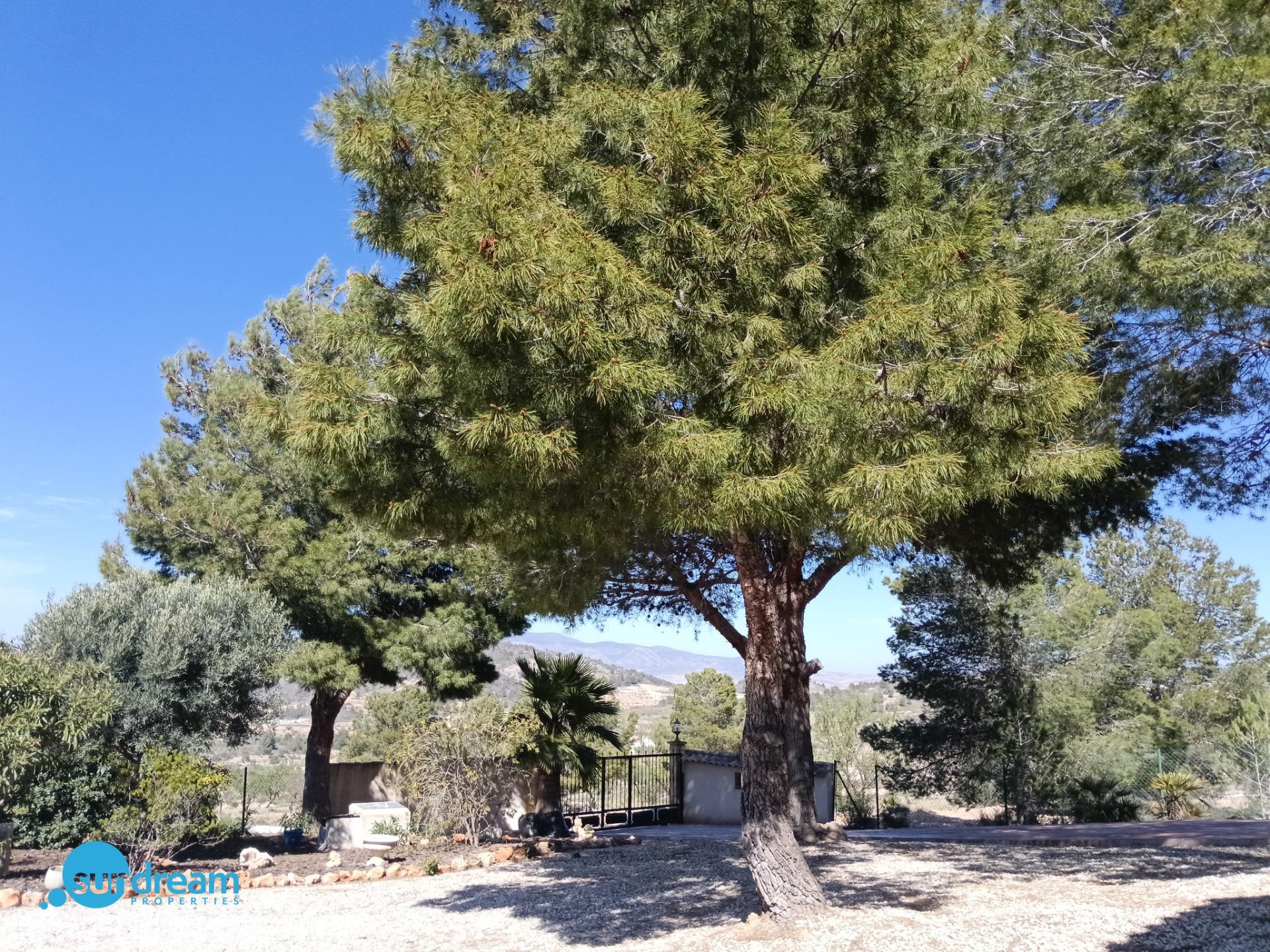 Villa en venta en Abanilla