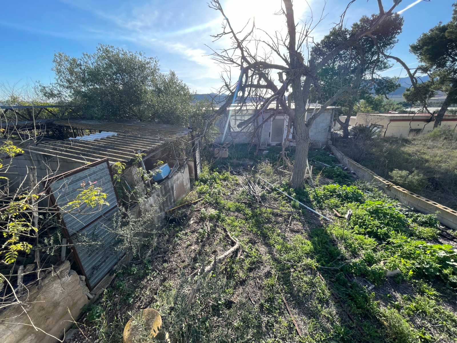 Country House for sale in Aspe, Alicante, Spain