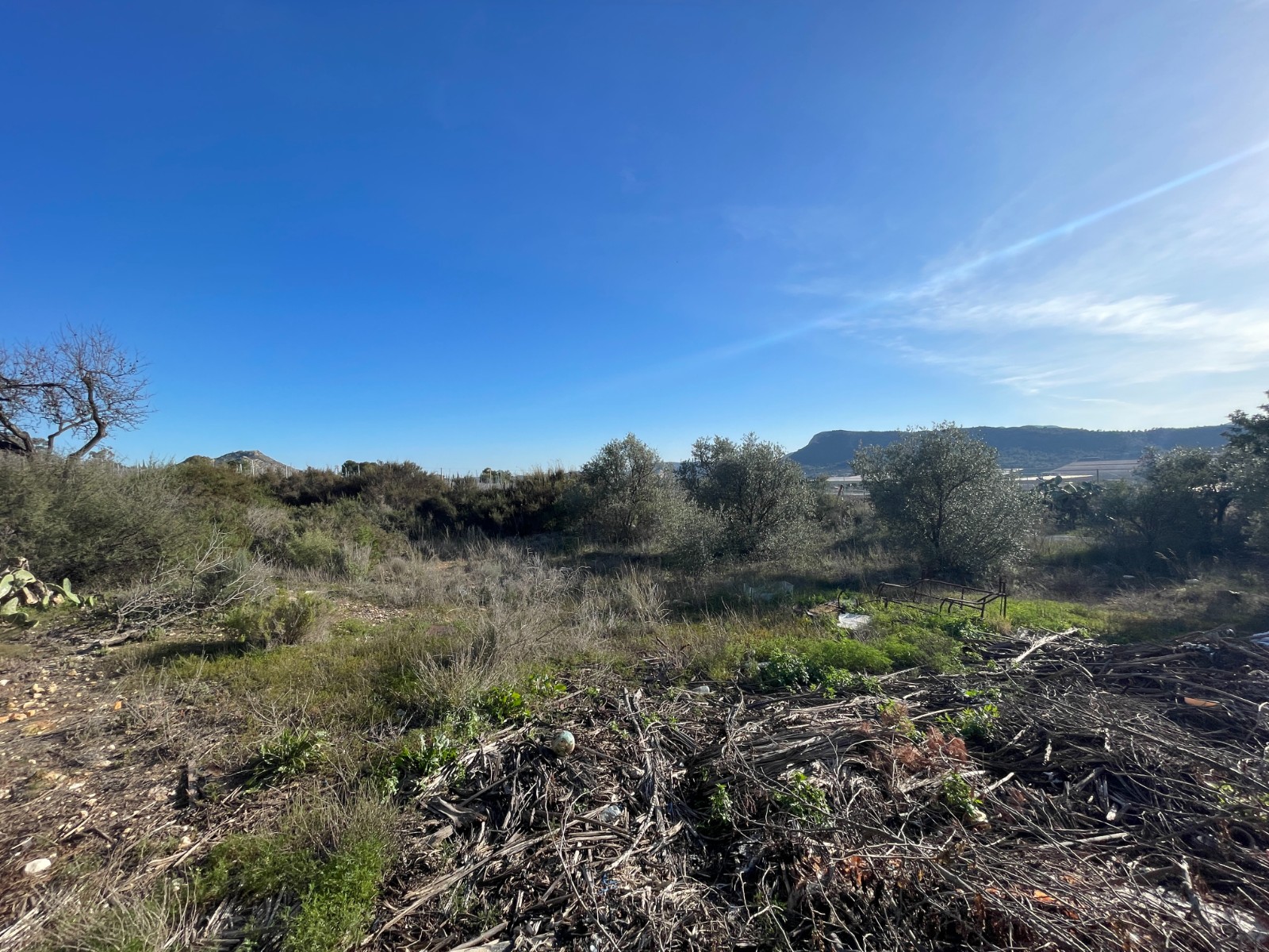 Country House for sale in Aspe, Alicante, Spain