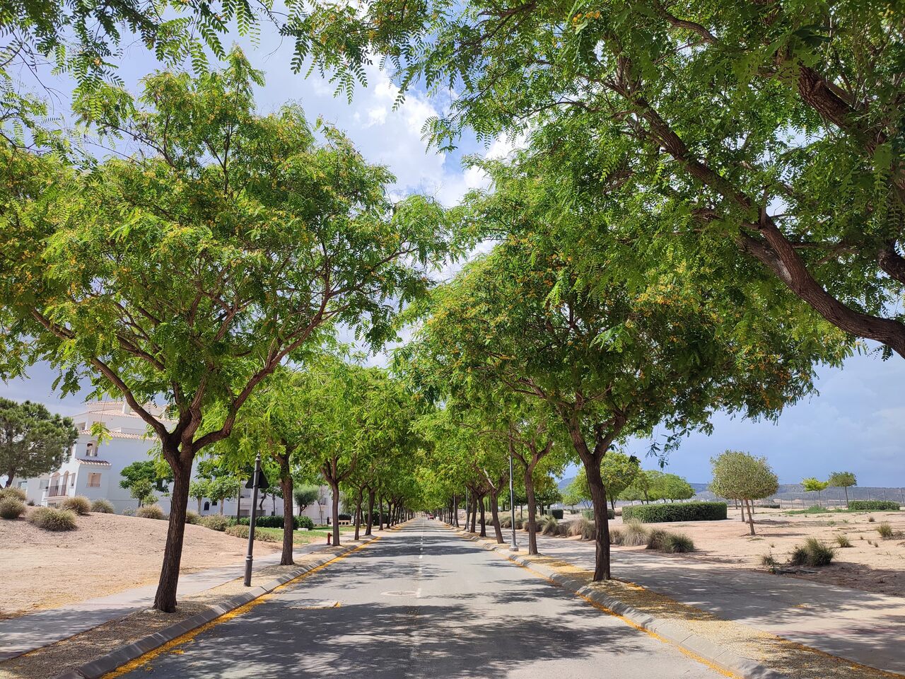 Apartment for sale in Hacienda Riquelme Golf Resort, Murcia, Spain