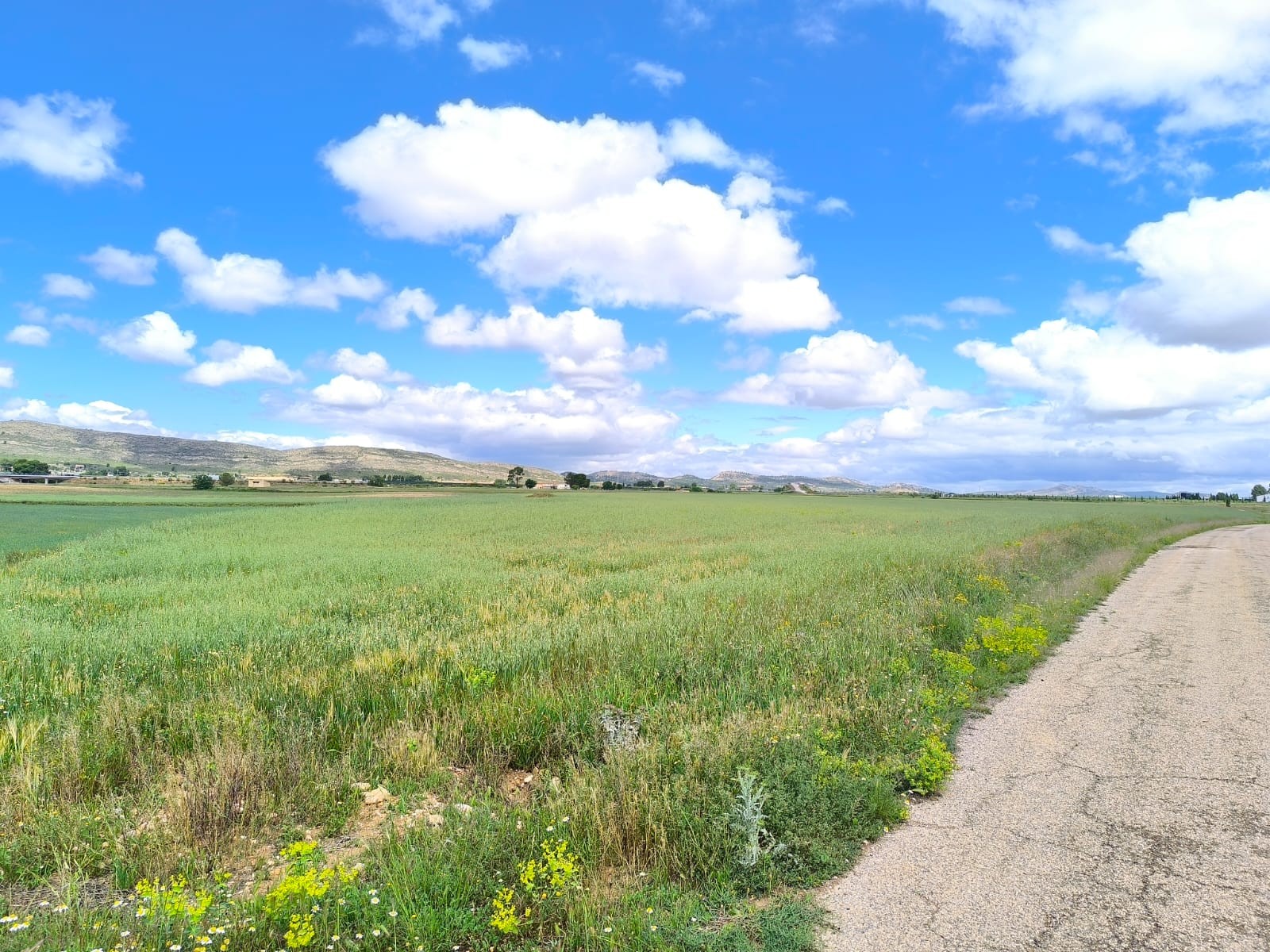 Finca en venta en Yecla