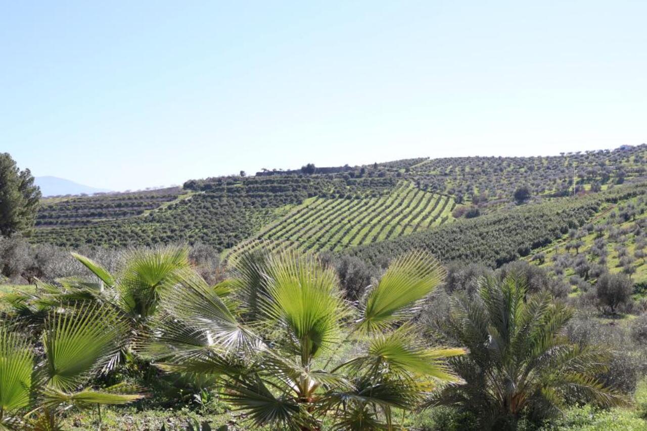 Casa de Campo en venta en Alora