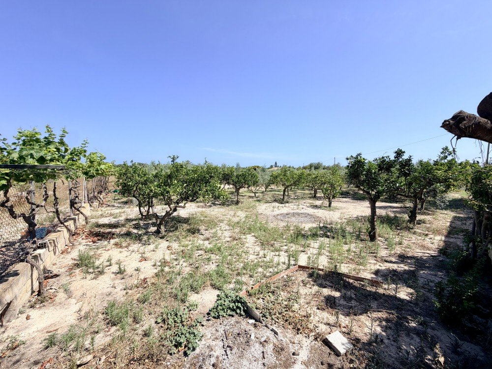 Casa de Campo en venta en La Marina