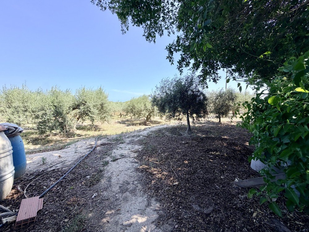 Casa de Campo en venta en La Marina
