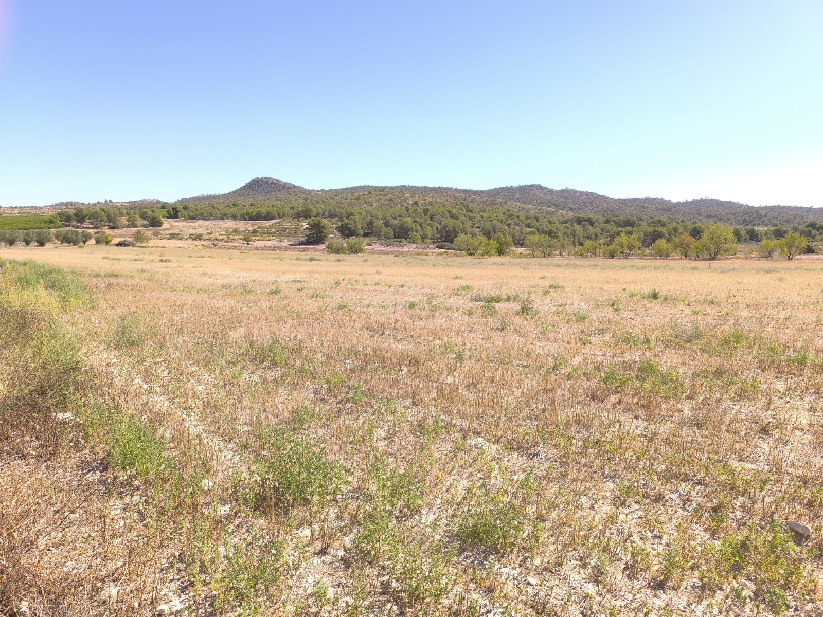 Finca for sale in Monóvarmonóver, Alicante, Spain