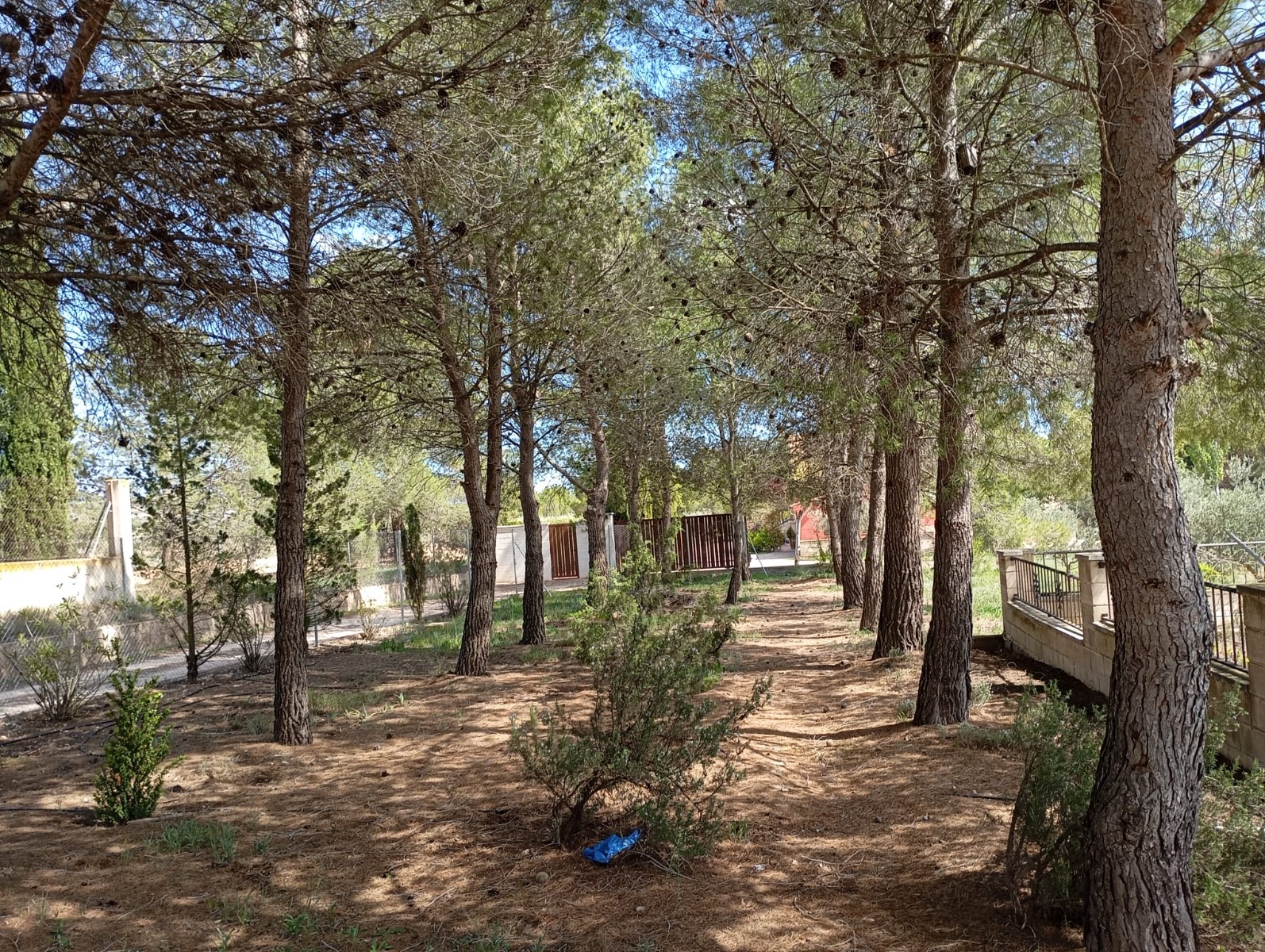 Villa en venta en Yecla