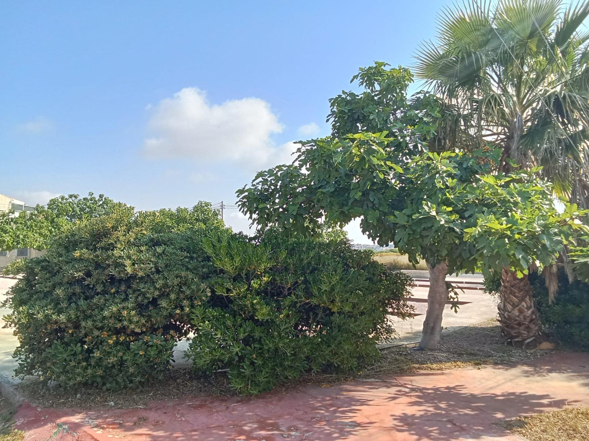 Bungalow for sale in Torrevieja, Alicante, Spain