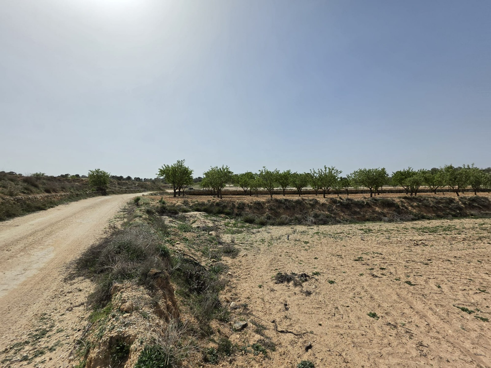 Finca en venta en Pinoso