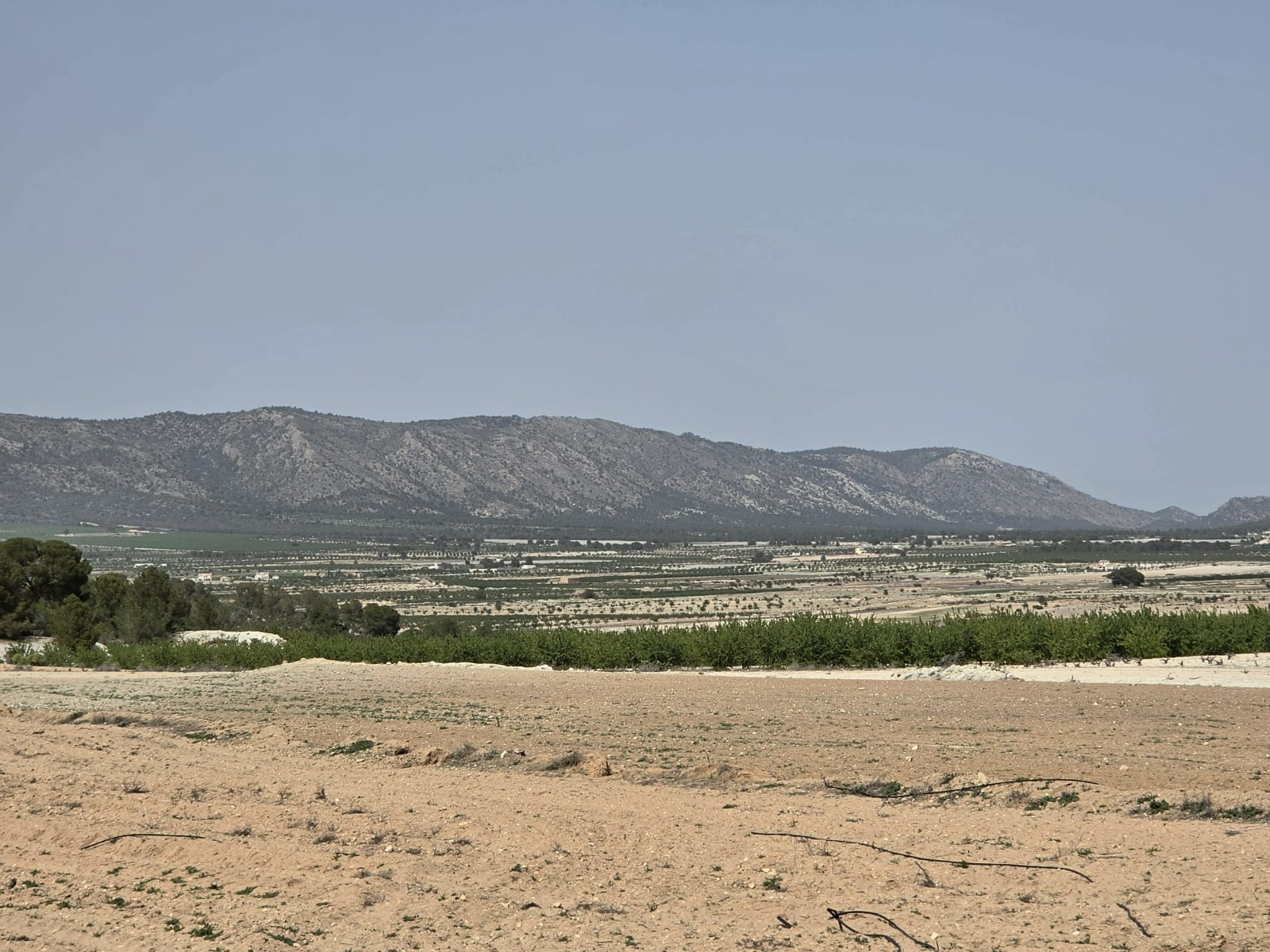 Finca en venta en Pinoso