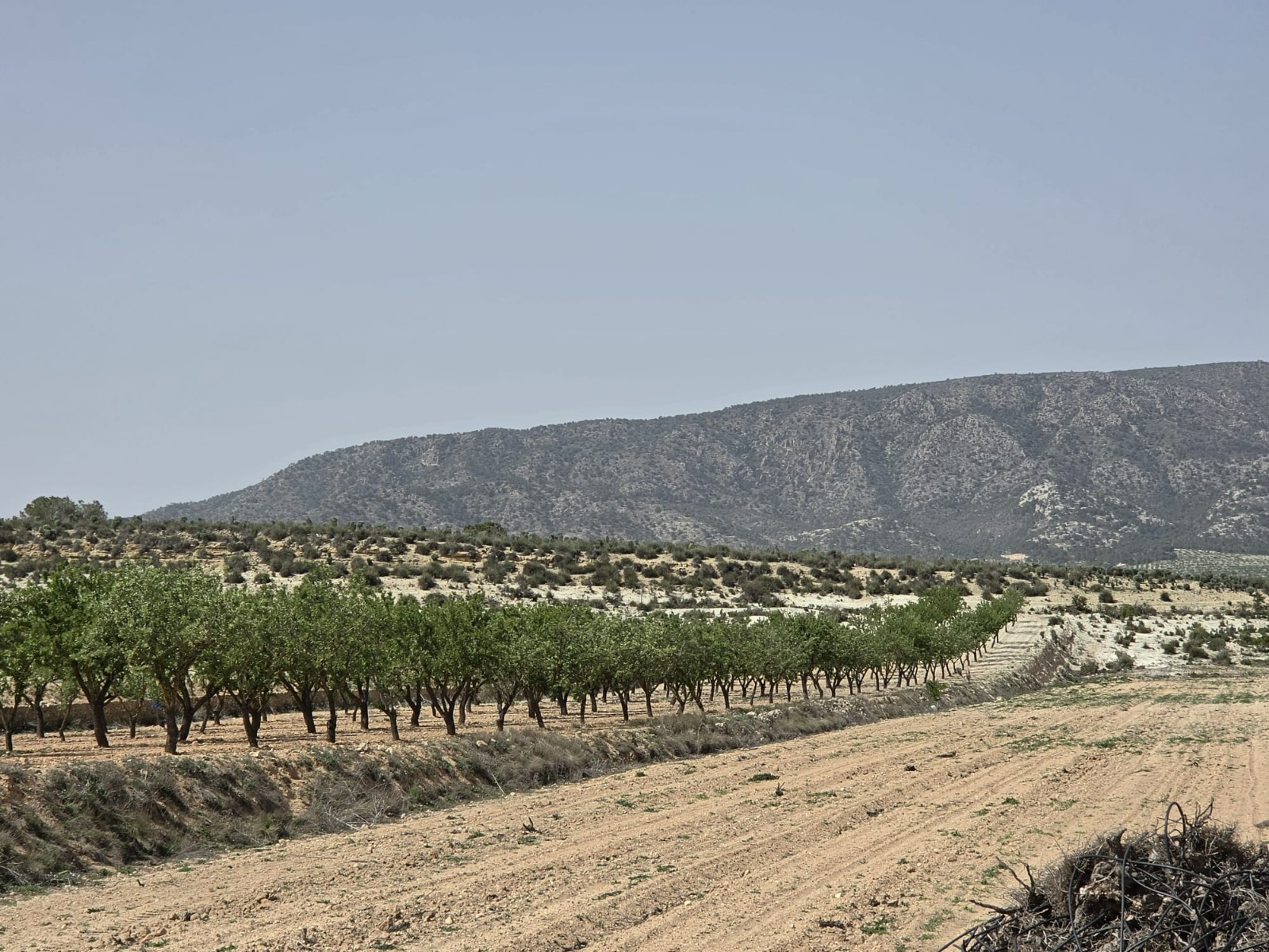 Finca en venta en Pinoso