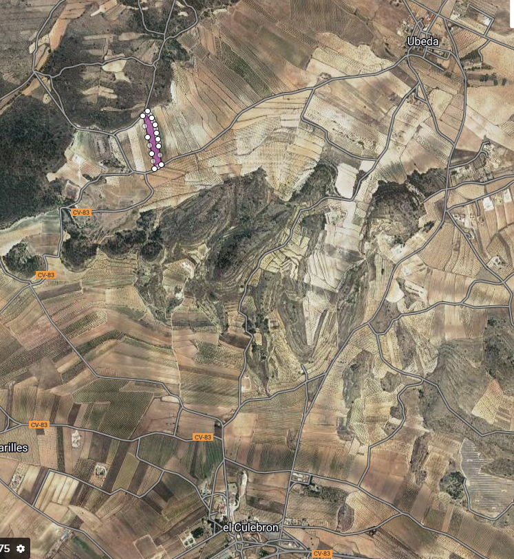 Finca en venta en Pinoso
