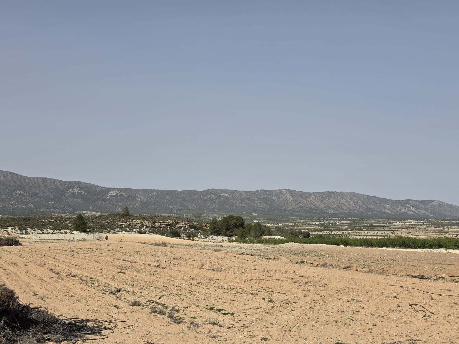 Finca en venta en Pinoso