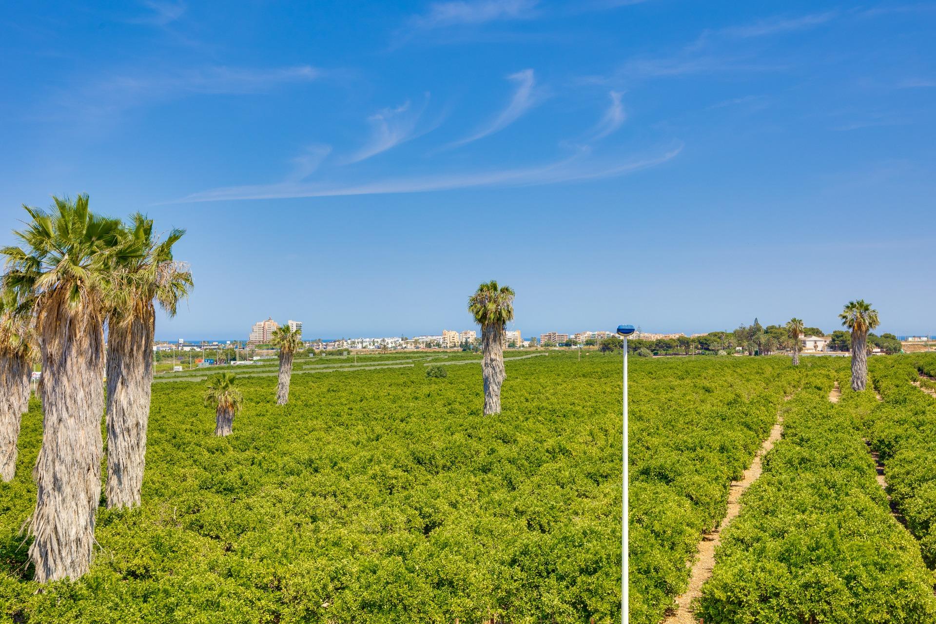 Town House en venta en Torrevieja