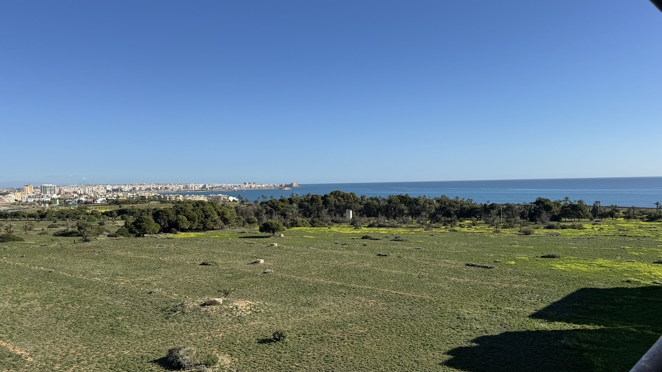 Penthouse Penthouse for sale in Punta Prima, Alicante, Spain