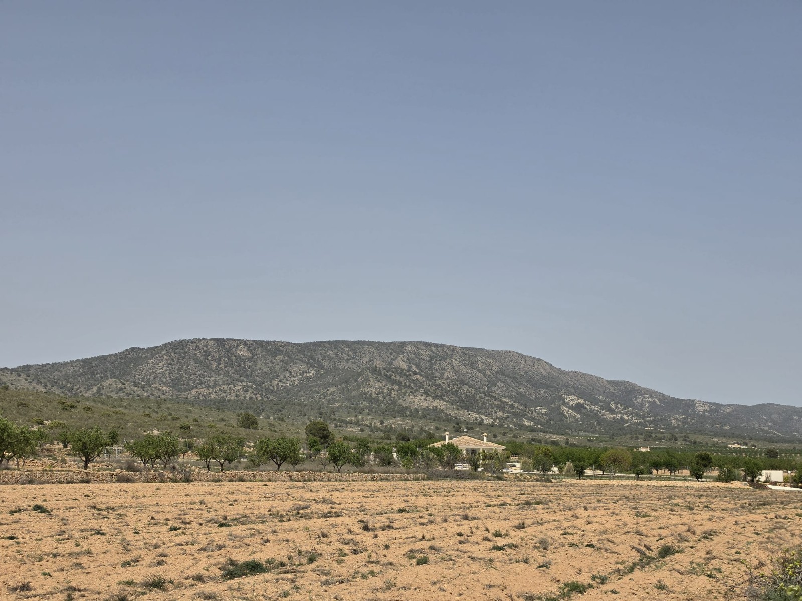 Finca en venta en Pinoso