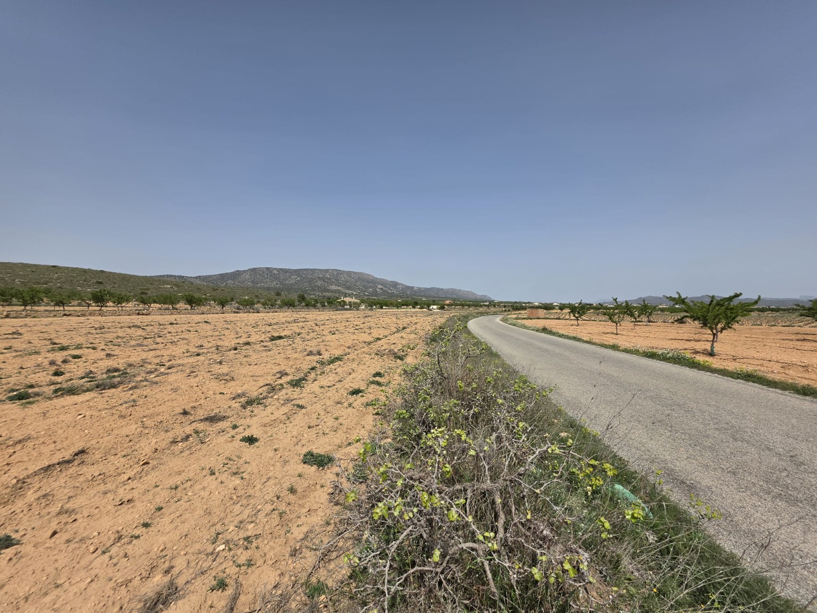 Finca en venta en Pinoso
