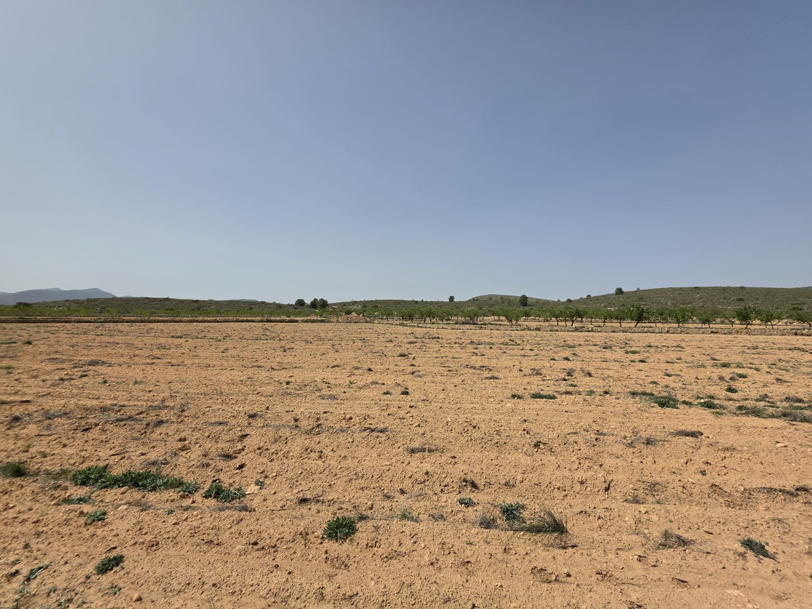 Finca en venta en Pinoso