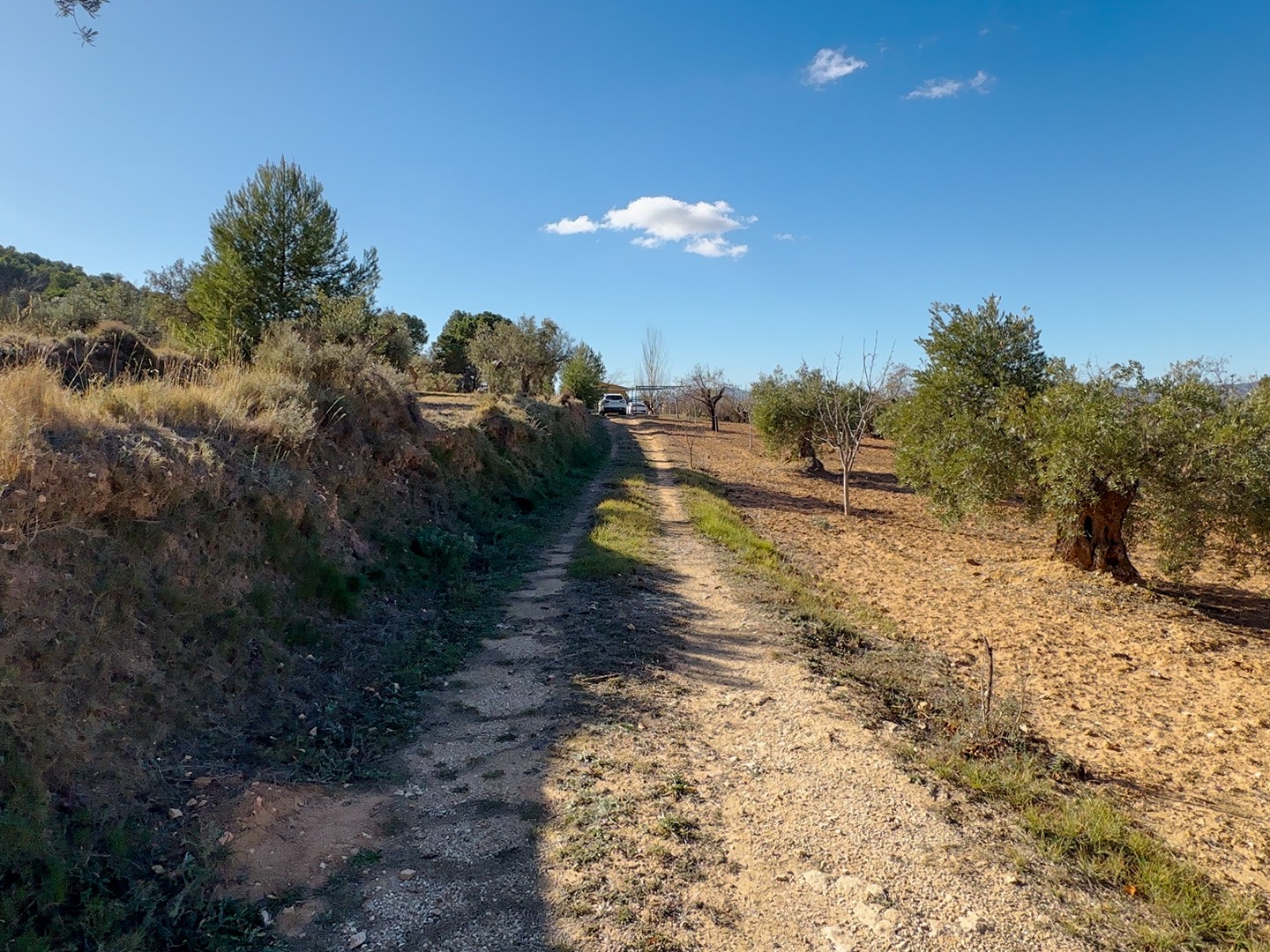 Finca en venta en Ibi