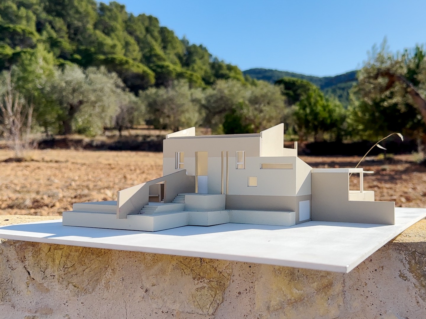Finca en venta en Ibi