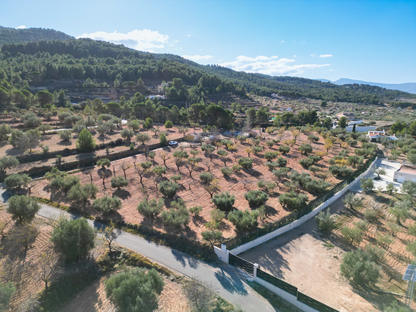 Finca en venta en Ibi