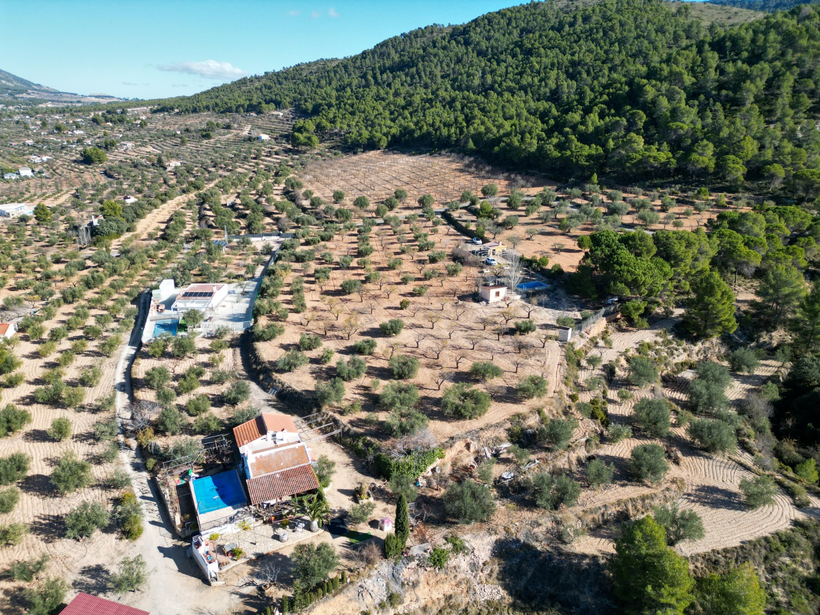 Finca en venta en Ibi