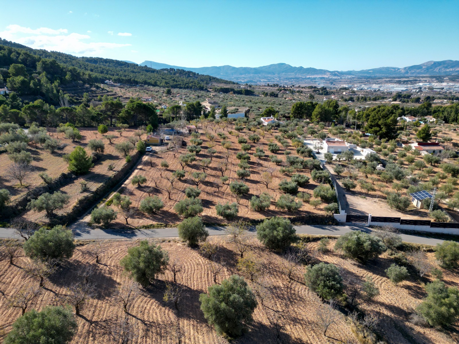 Finca en venta en Ibi
