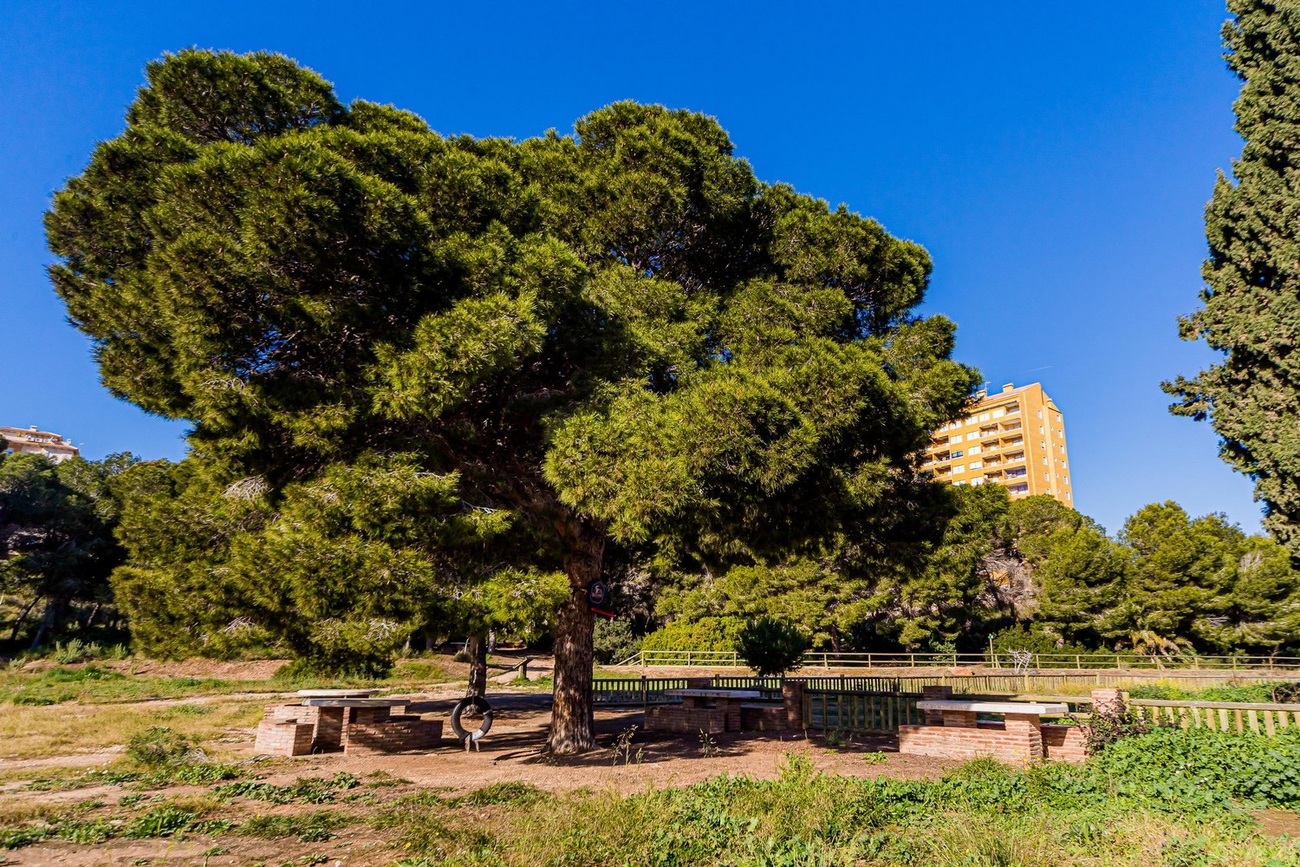 Duplex en venta en Dehesa De Campoamor