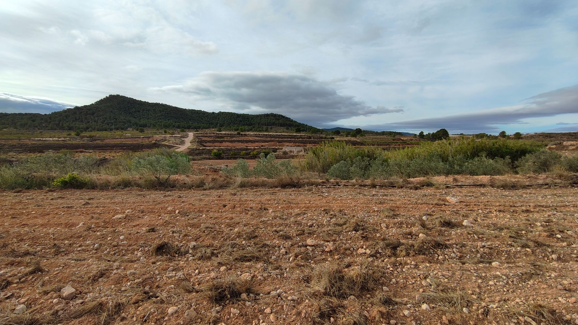 Finca for sale in Monóvarmonóver, Alicante, Spain