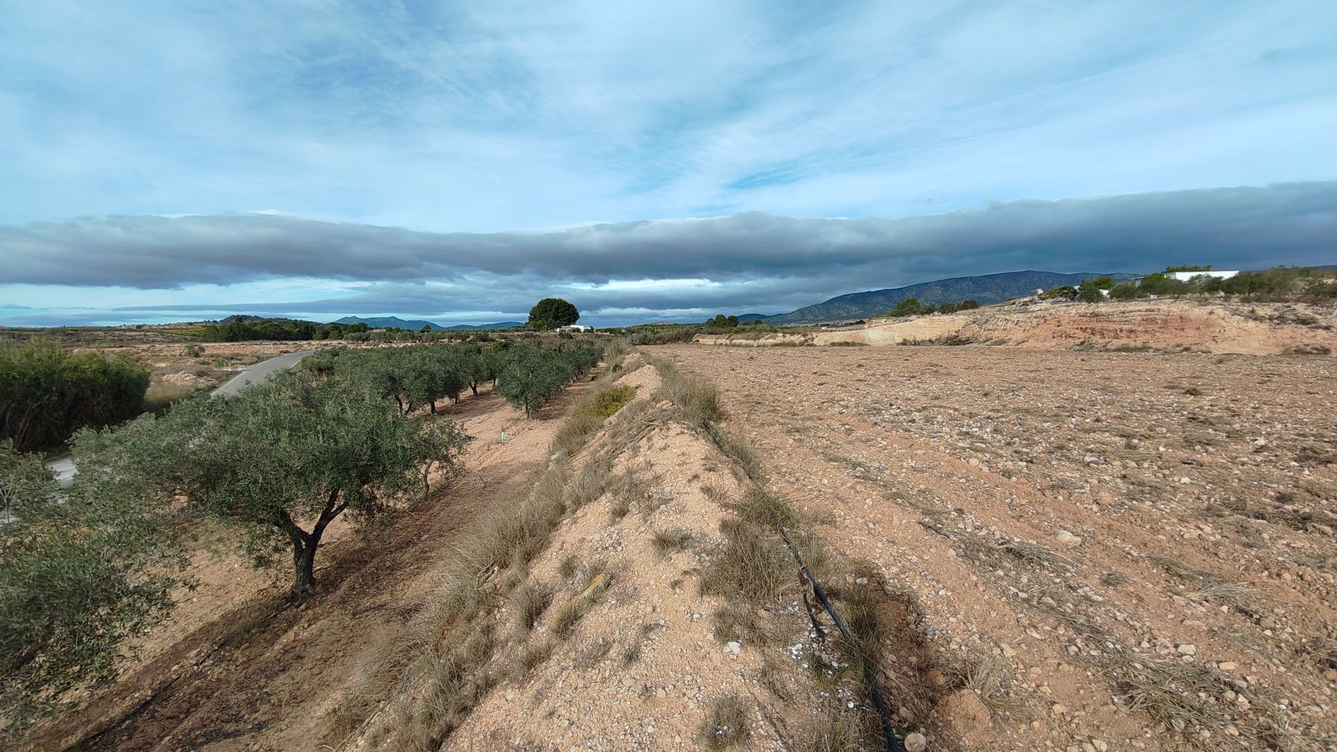 Finca for sale in Monóvarmonóver, Alicante, Spain