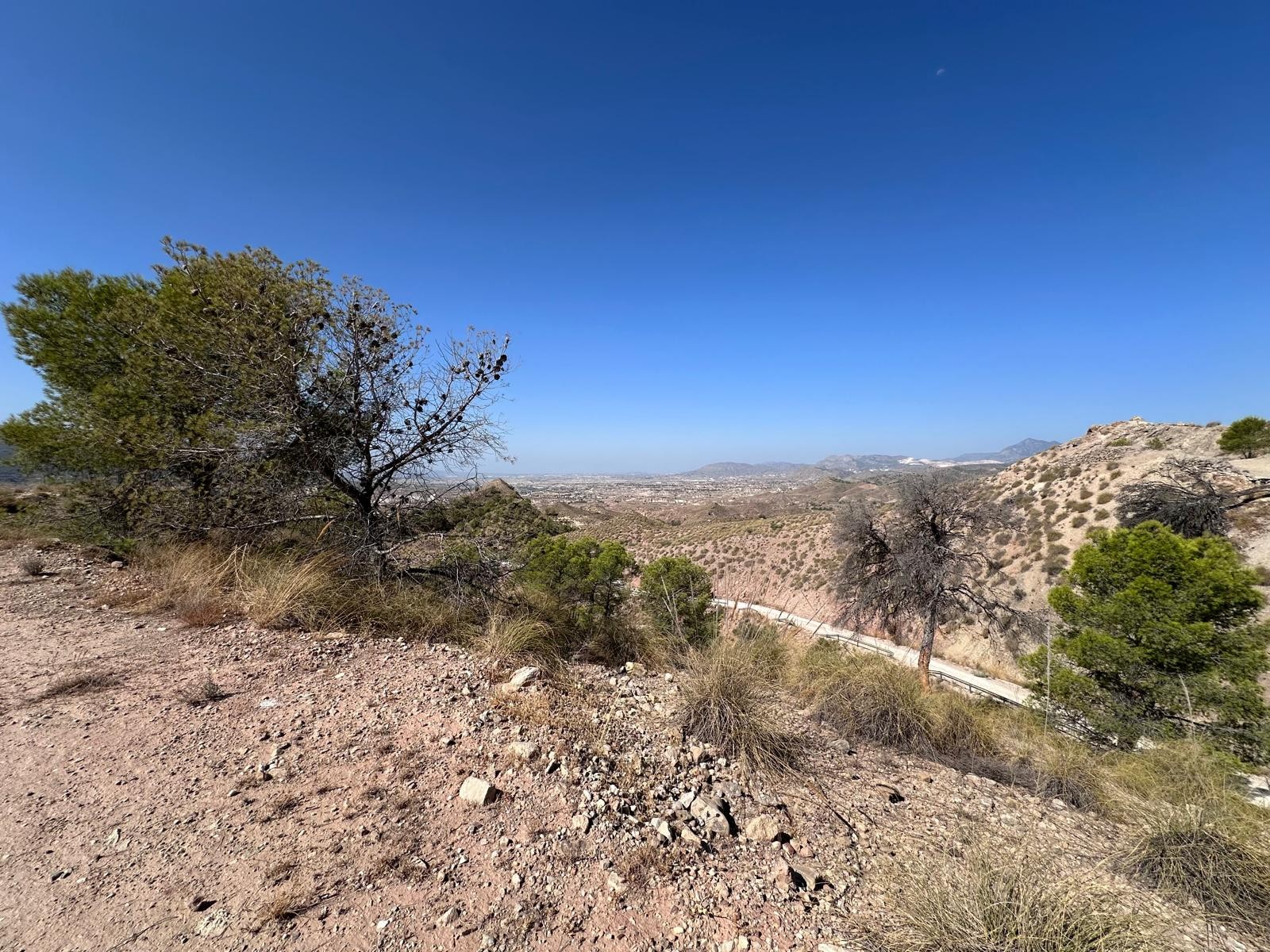 Finca for sale in Macisvenda, Murcia, Spain