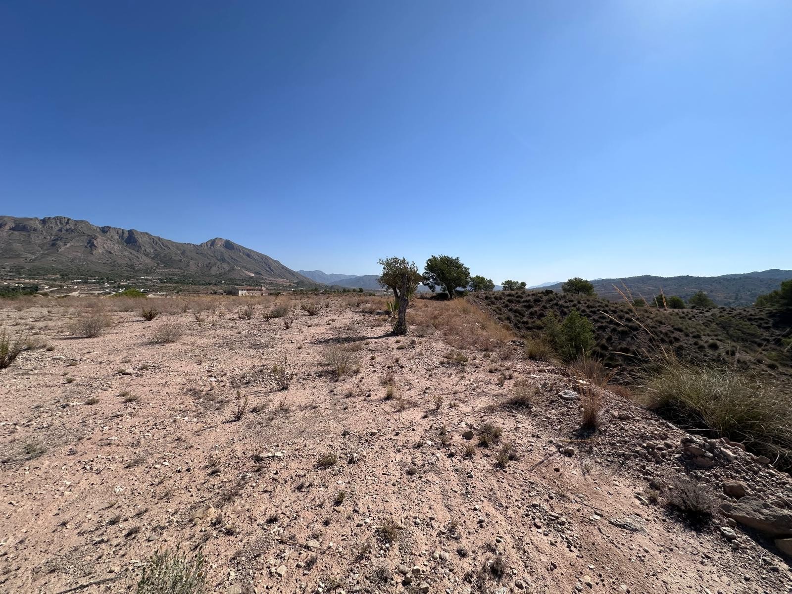 Finca for sale in Macisvenda, Murcia, Spain
