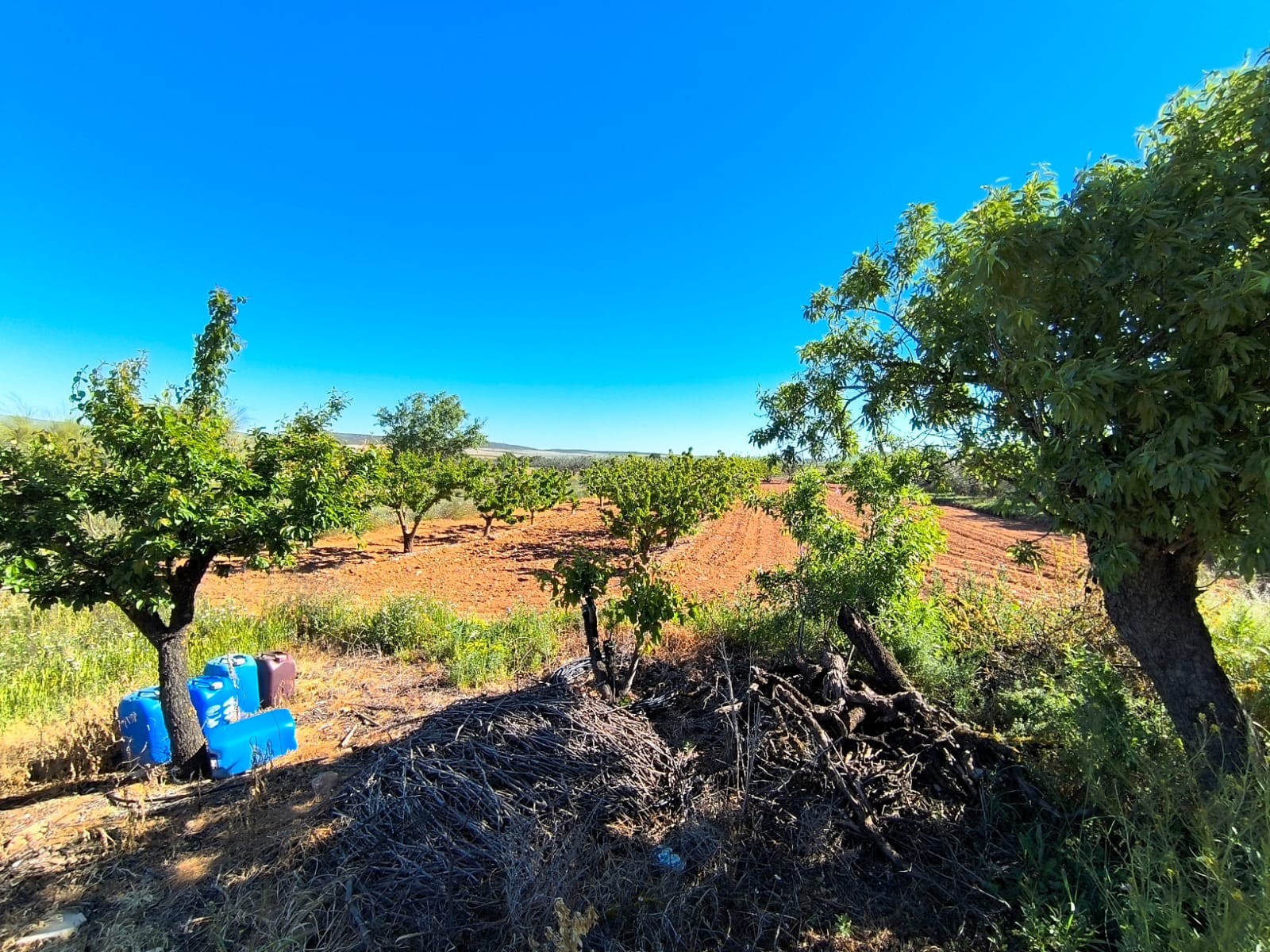 Casa de Campo en venta en Yecla